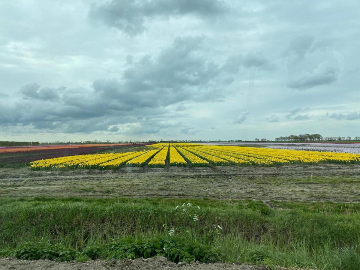 Huisje In Zeeland Helemaal Gerenoveerd Sint Annaland Kültér fotó